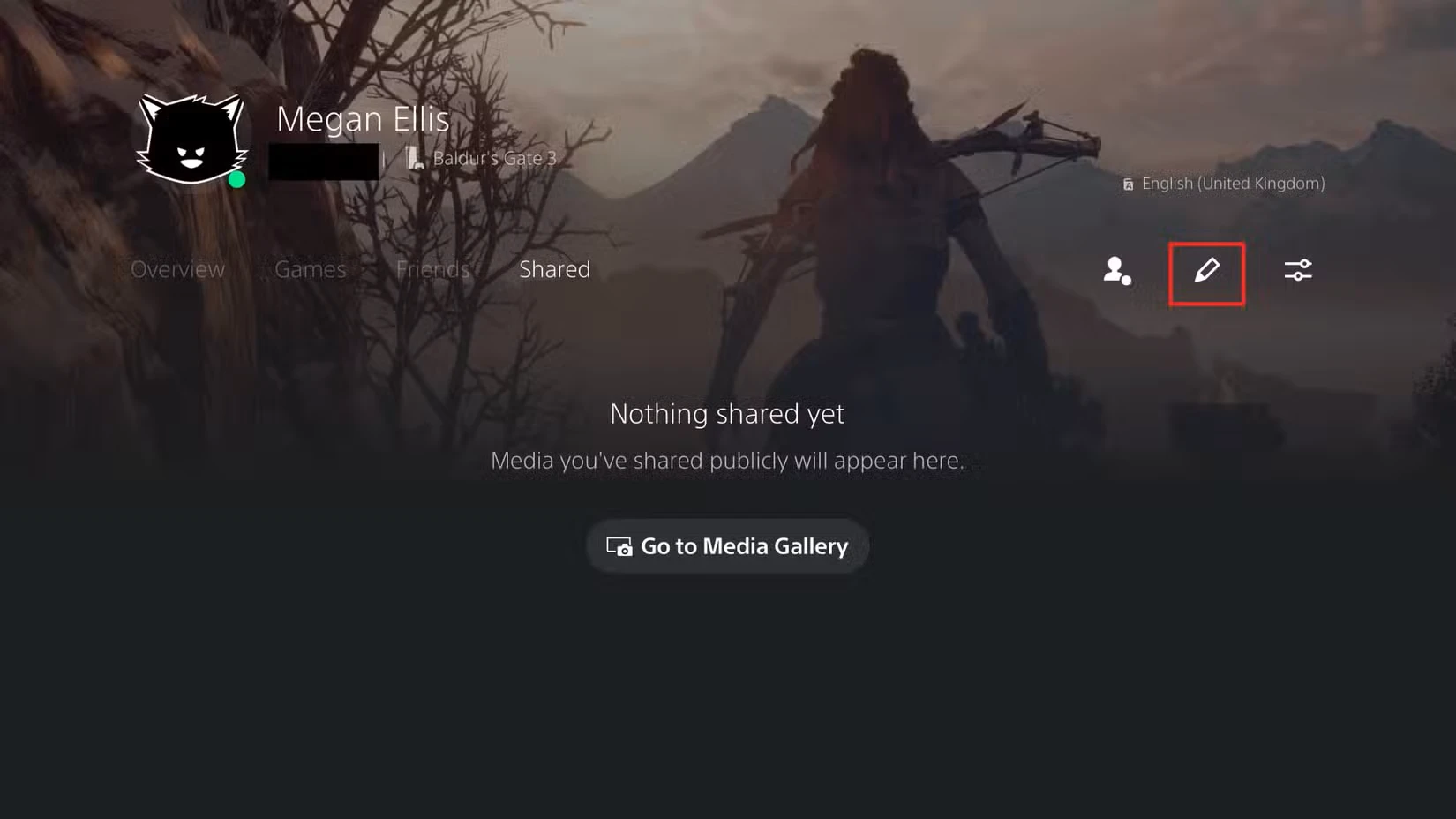 پروفایل ps5 با نماد قلم