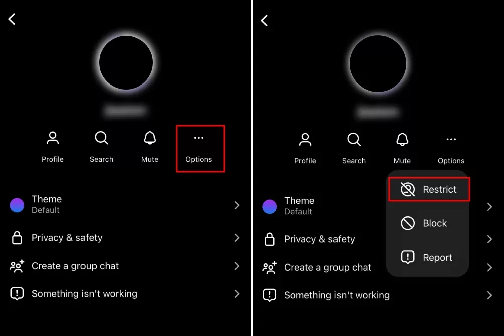 Mute + Restrict (بیصدا و محدود کردن) در اینستاگرام