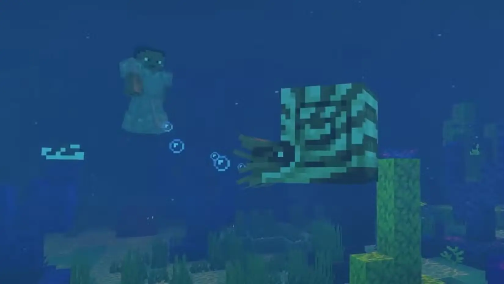 The Nautilus Mob
