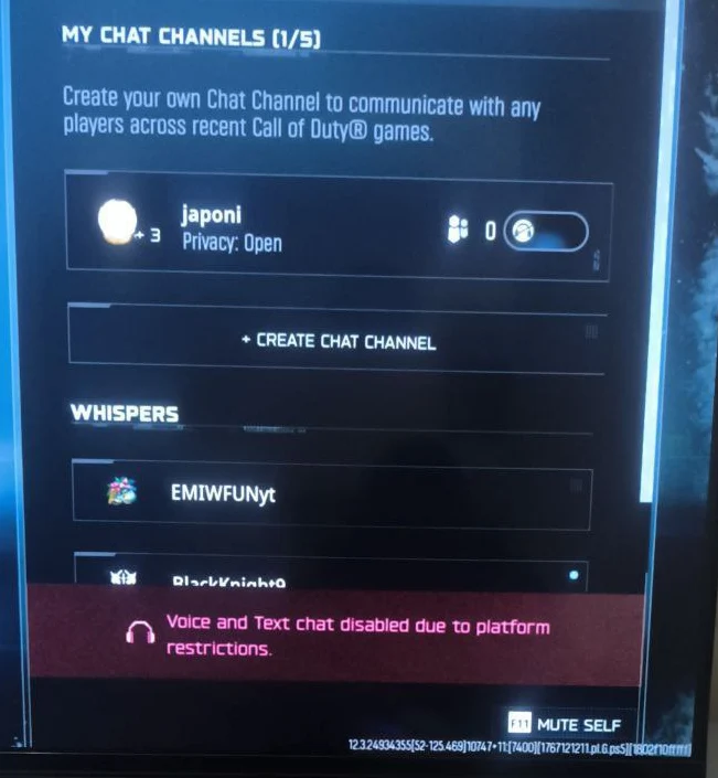 رفع خطای Voice and Text chat disabled due to platform restrictions